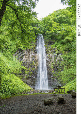 玉簾の滝 117856657