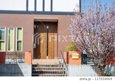 サクラが咲いた家 117856664