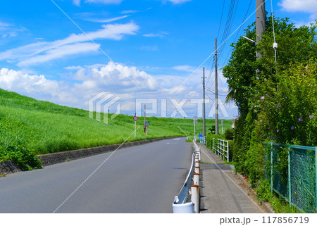 千葉県松戸市江戸川沿いの道2024年8月 千葉県松戸市江戸川沿いの道2024年8月 117856719