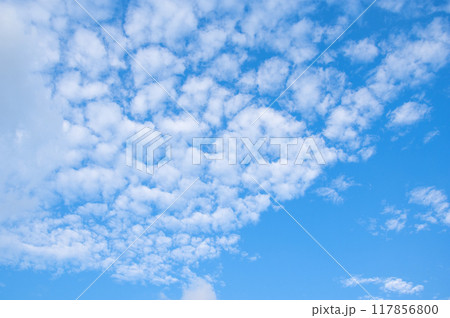 秋の空「うろこ雲」 117856800