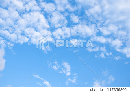 秋の空「うろこ雲」 秋の空「うろこ雲」 117856803