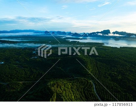 Aerial view of forest trees Rainforest ecosystem and healthy environment background Aerial view of forest trees Rainforest ecosystem and healthy environment background 117856913