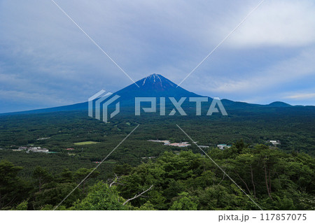 【山梨県】新緑の青木ヶ原樹海と富士山の風景 117857075