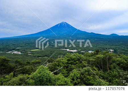 【山梨県】新緑の青木ヶ原樹海と富士山の風景 117857076