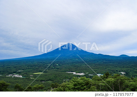 【山梨県】新緑の青木ヶ原樹海と富士山の風景 117857077