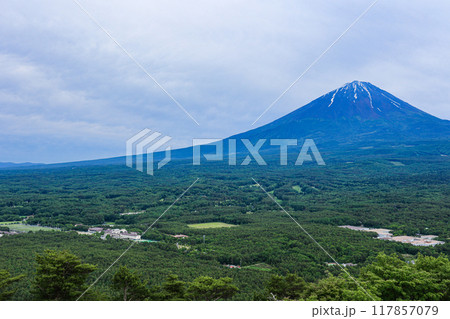 【山梨県】新緑の青木ヶ原樹海と富士山の風景 【山梨県】新緑の青木ヶ原樹海と富士山の風景 117857079