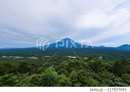【山梨県】新緑の青木ヶ原樹海と富士山の風景 【山梨県】新緑の青木ヶ原樹海と富士山の風景 117857081