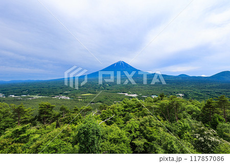 【山梨県】新緑の青木ヶ原樹海と富士山の風景 117857086