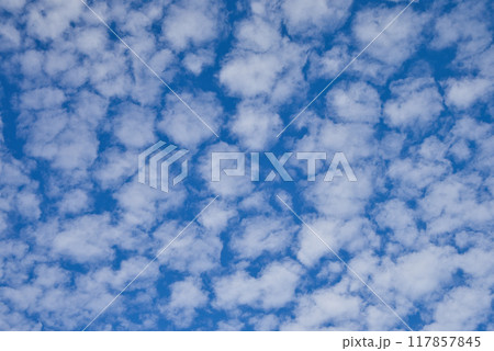 青空に広がる白い雲 青空に広がる白い雲 117857845