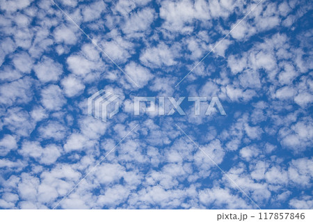 青空に広がる白い雲 青空に広がる白い雲 117857846