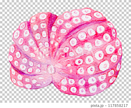 水彩插圖煮章魚 117858217