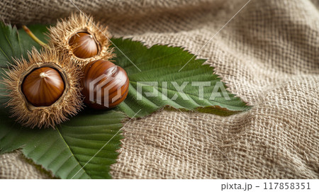 収穫した栗 117858351