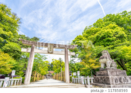 武田神社　鳥居　参道　狛犬　甲斐の国の守護神　「勝運」のご利益 117858593