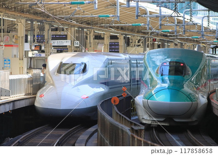 東京駅の新幹線ホーム　のぞみとはやぶさ 117858658