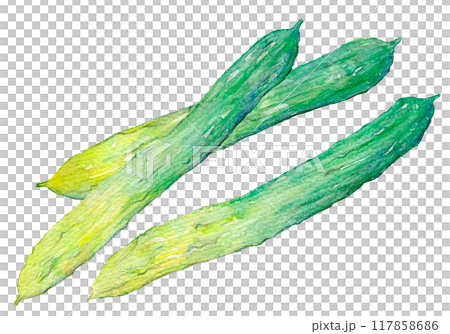 水彩イラスト　毛馬きゅうり 117858686