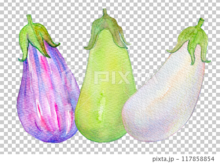 水彩イラスト　様々な種類のナス 117858854