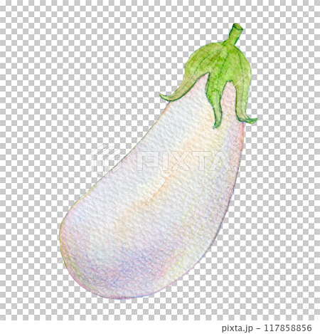 水彩イラスト　様々な種類のナス 117858856