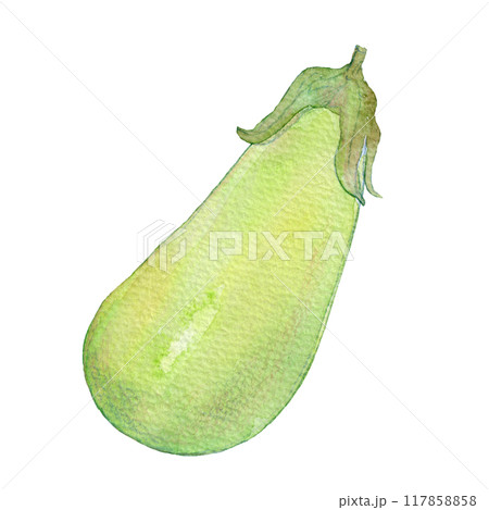 水彩イラスト　様々な種類のナス 117858858