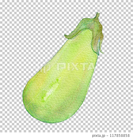 水彩イラスト　様々な種類のナス 117858858