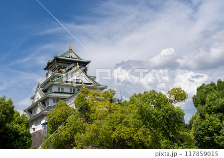 青空と大阪城天守閣 青空と大阪城天守閣 117859015