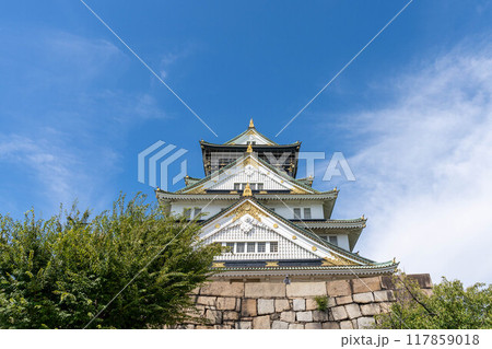 青空と大阪城天守閣 青空と大阪城天守閣 117859018
