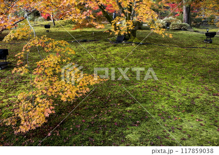 宝厳院の秋色 117859038