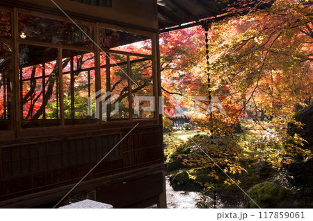 宝厳院の秋色 117859061