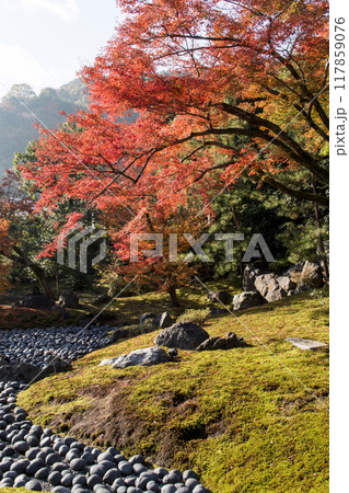 宝厳院の秋色 宝厳院の秋色 117859076