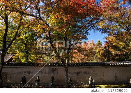 宝厳院の秋色 117859092