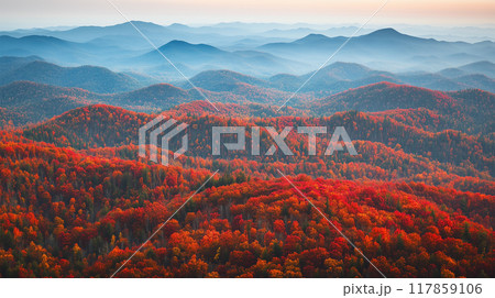 秋の山岳地帯の俯瞰風景 117859106