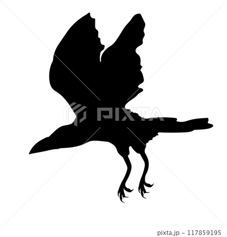 Bird Raven Crow Black Silhouette for Icon. Bird Raven Crow Black Silhouette for Icon. 117859195