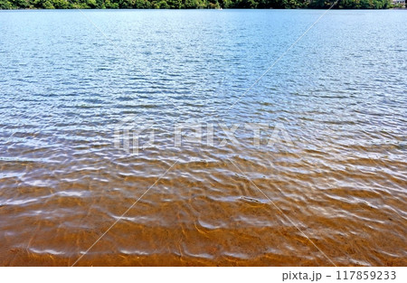 初秋の一碧湖の水の色 初秋の一碧湖の水の色 117859233