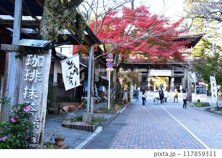 岐阜県揖斐郡　谷汲山華厳寺門前参道と色鮮やかな紅葉 117859311