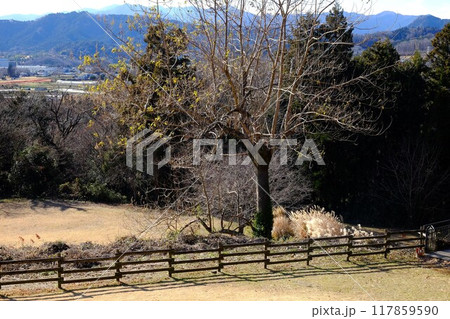 冬の草原広場　【相模原市津久井　1月】 117859590