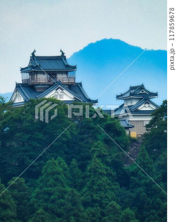 緑に囲まれた城 117859678