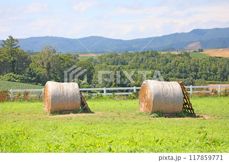 美瑛　新栄の丘の牧草ロール 117859771