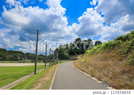 【千葉県印西市】雲が広がる青空と木下万葉公園の風景 117859838