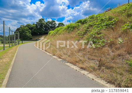 【千葉県印西市】雲が広がる青空と木下万葉公園の風景 【千葉県印西市】雲が広がる青空と木下万葉公園の風景 117859841