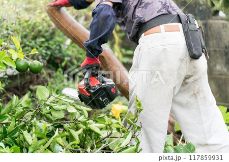 チェーンソーで倒木の伐採 117859931