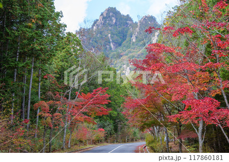 三倉岳の紅葉 117860181