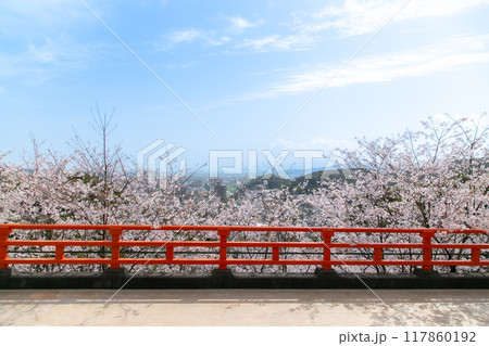 桜並木と赤い橋 桜並木と赤い橋 117860192