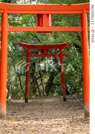 鳥居の先に見える鳥居 鳥居の先に見える鳥居 117860196