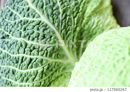 低農薬栽培のちりめんキャベツ　新鮮生野菜 117860267