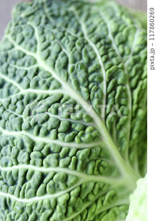 低農薬栽培のちりめんキャベツ　新鮮生野菜 117860269