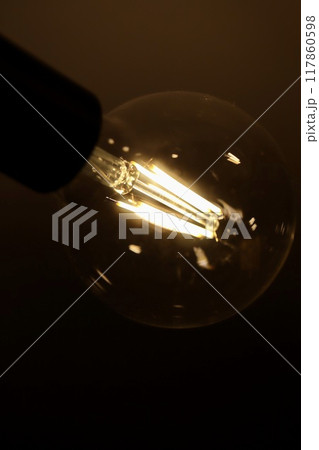 LED電球のヴィンテージ風ライト 117860598