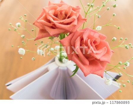 インテリアグリーン　薔薇 117860893