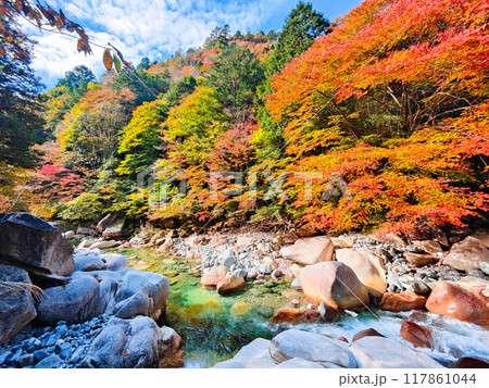 秋の阿寺渓谷 117861044