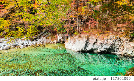 秋の阿寺渓谷 117861099