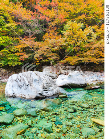 秋の阿寺渓谷 秋の阿寺渓谷 117861139