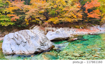 秋の阿寺渓谷 117861160